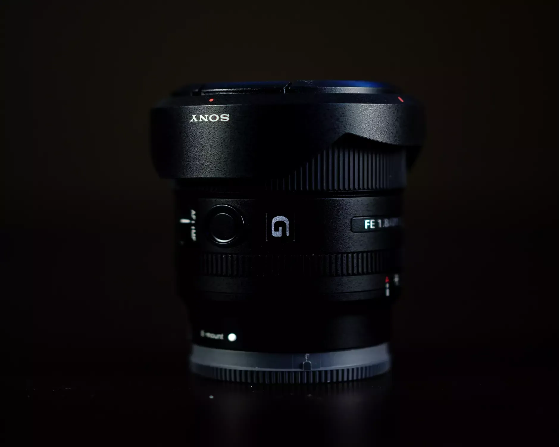 multimedia services showcase