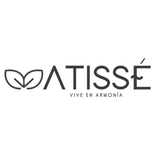 Attise — Cliente de AVTA, agencia de marketing digital en México