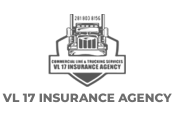 VL 17 Insurance Agency